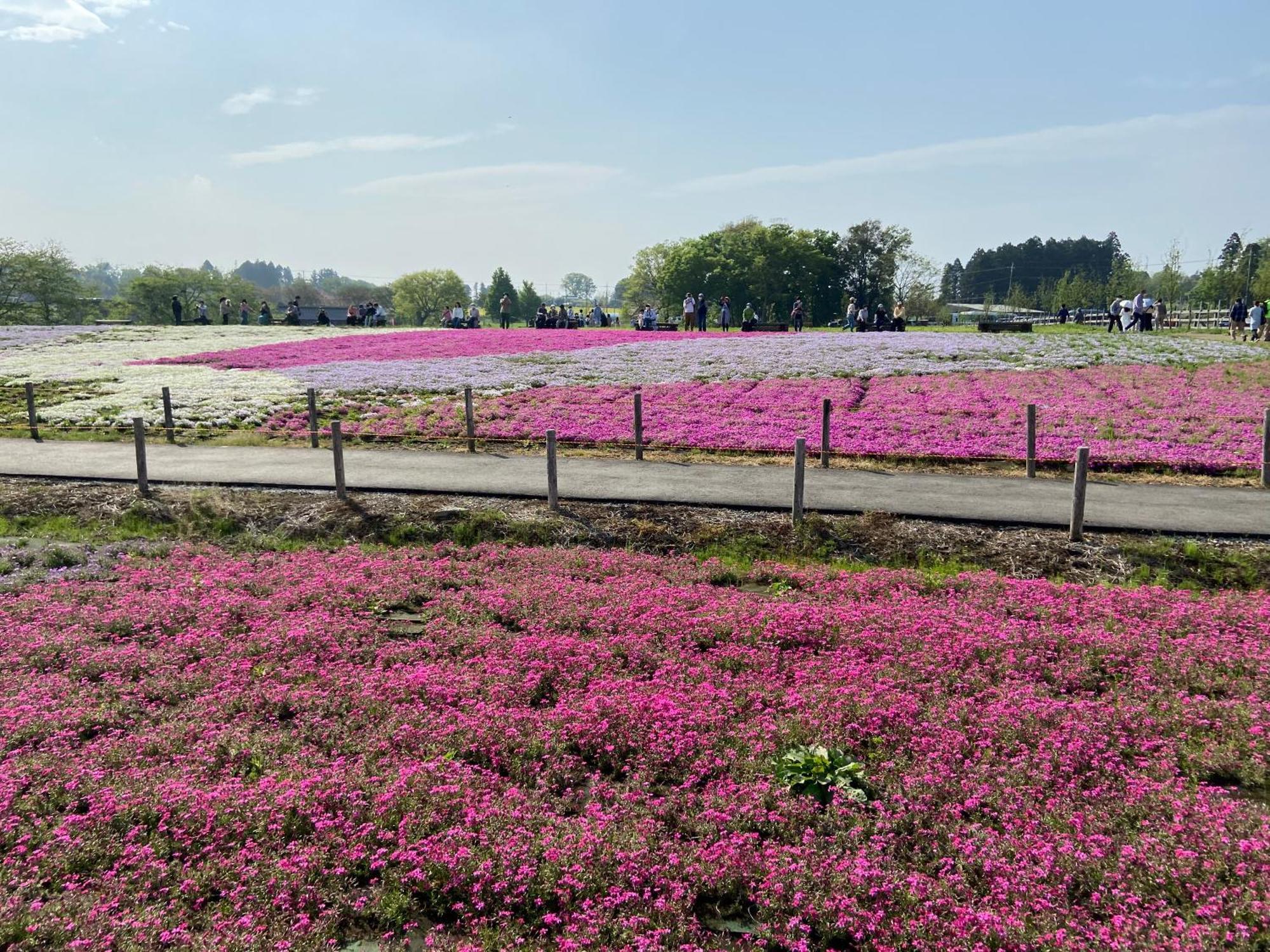 Vessel Inn Keisei Tsudanuma Station Narashino Екстер'єр фото